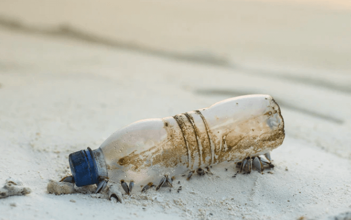 Plastic Bottle in sand